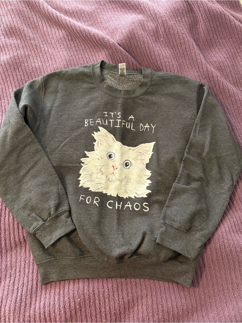 Women's Dark Gray Cat Sweatshirt - "It's a Beautiful Day for Chaos"